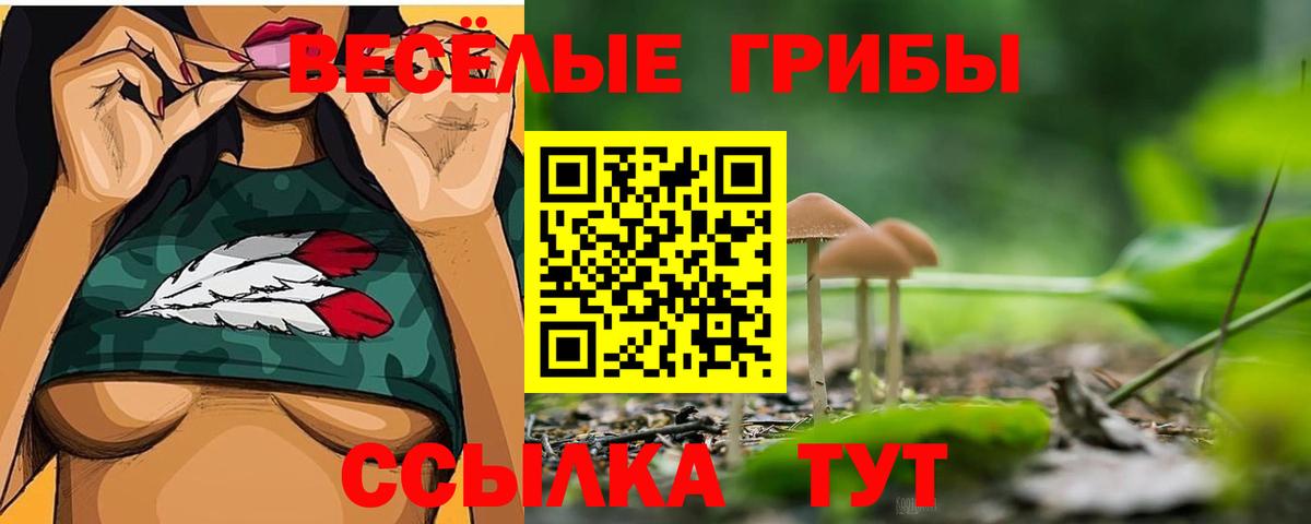Псилоцибиновые грибы мухоморы Павловский Посад